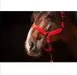Pikalukkoriimu Excellent Superior MINI FOAL punainen HAC - Hevosen nylonriimut - 047596 - 2
