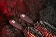 Sekoiteharja Soft Touch Pure Bristle & Nylon M Yento - Koiran harjat, karstat ja suat - 057906 - 4