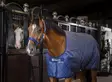 Talliloimi Cosy Stable navy Bucas - Hevosen kevyttoppatalliloimet - 055526 - 5