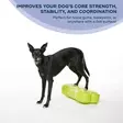 Tasapainotyyny K9FITbone 58x29x10cm FitPaws - Koiran aktivointilelut - 060146 - 2