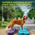 Tasapainotyyny K9FITbone 58x29x10cm FitPaws - Koiran aktivointilelut - 060146 - 7