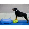Tasapainotyyny K9FITbone 58x29x10cm FitPaws - Koiran aktivointilelut - 060146 - 9