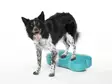 Tasapainotyyny K9FITbone 58x29x10cm FitPaws - Koiran aktivointilelut - 060146 - 4