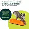 Tasapainotyyny K9FITbone 58x29x10cm FitPaws - Koiran aktivointilelut - 060146 - 5
