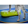 Tasapainotyyny K9FITbone 58x29x10cm FitPaws - Koiran aktivointilelut - 060146 - 8