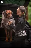 Vetovyö Explorer M sand Non-stop dogwear - Koiran juoksutus, pyöräily, talviurheilu - 057206 - 3