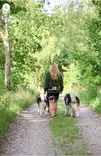 Vetovyö Explorer M sand Non-stop dogwear - Koiran juoksutus, pyöräily, talviurheilu - 057206 - 9