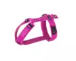 Y-valjas Fun fuksia - echinacea AnnyX - Koiran Y-valjaat - 052426 - 1
