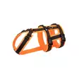 Y-valjas Safety Protect neonoranssi-ruskea AnnyX - Koiran Y-valjaat - 047016 - 1
