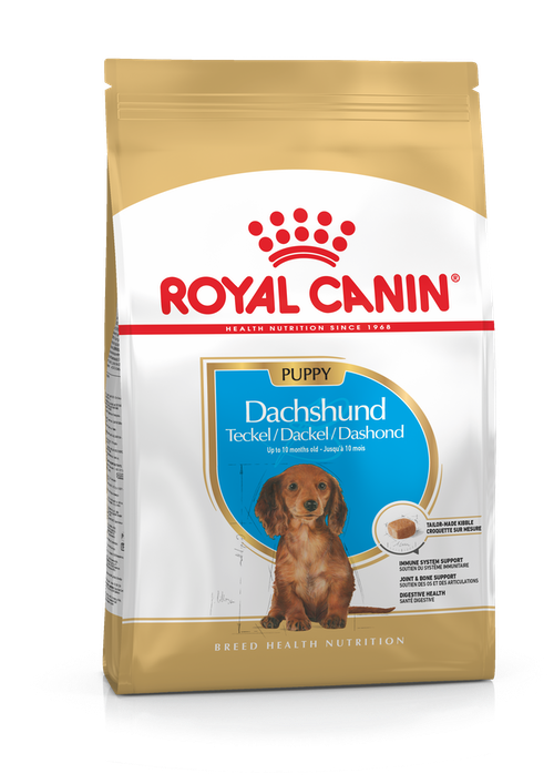Dachshund Puppy 1,5kg Royal Canin - Kuivaruoat pennuille ja kasvatukseen - 000886 - 1