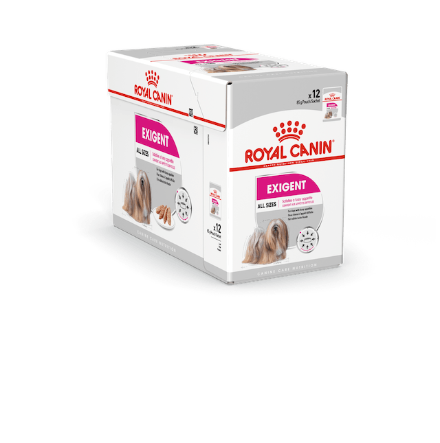 Exigent Adult Loaf 12x85g mureke Royal Canin - Koiran säilykkeet aikuisille koirille - 013736 - 2