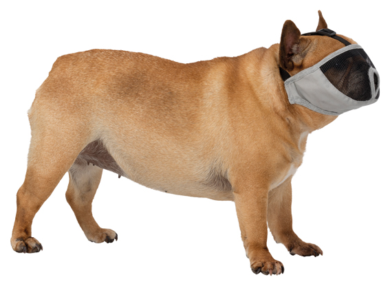 Kuonokoppa lyhytkuonoisille harmaa Trixie - Kuonokopat - 024876 - 1