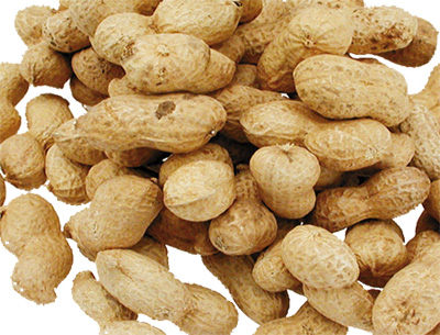 Maapähkinät kuorella 300g VadiGran - Lemmikkilintujen herkut ja tähkät - 012876 - 1