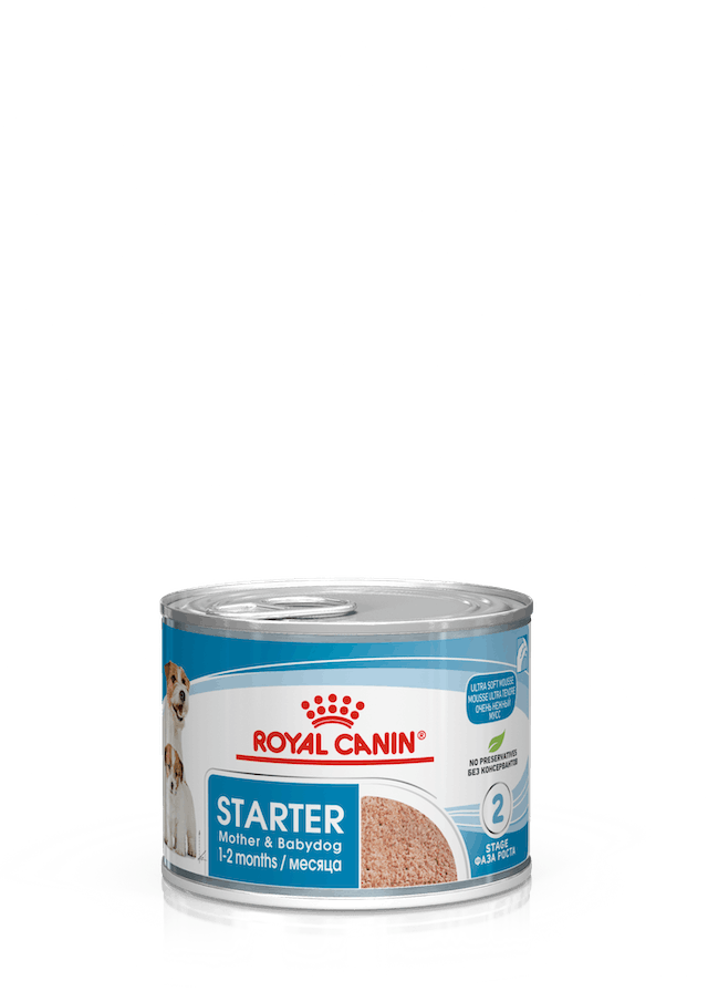 Mother & Babydog Starter Mousse Royal Canin - Säilykeet pennuille ja kasvatukseen - 000956 - 3