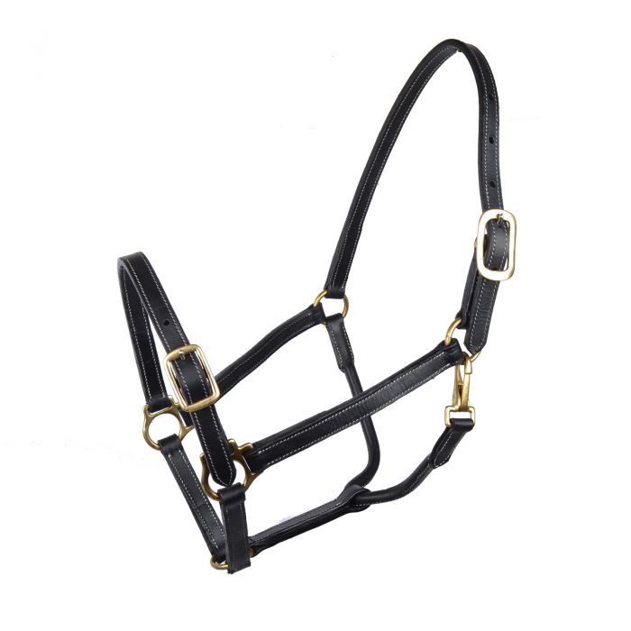 Nahkariimu jenkki 20mm musta GP-Tack - Hevosen nylonriimut - 030216 - 1