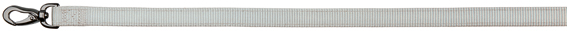 Nylontalutin XS 10mmx180cm hopea Trixie - Koiran nylontaluttimet - 019266 - 1