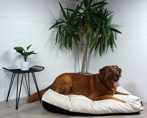 Patja Luxus Muurila L 115cm beige Monolith02 Tujoma MemoryFoam - Koiran patjat - 032346 - 1