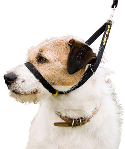 Vedonestopanta musta Canny Collar - Koiran kuonopannat - 002696 - 1