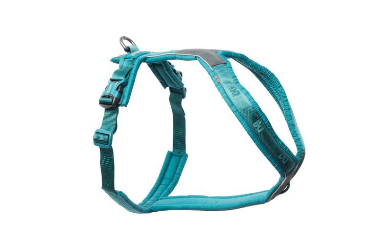 Y-valjas Line V5 teal Non-stop dogwear - Koiran Y-valjaat - 036276 - 1