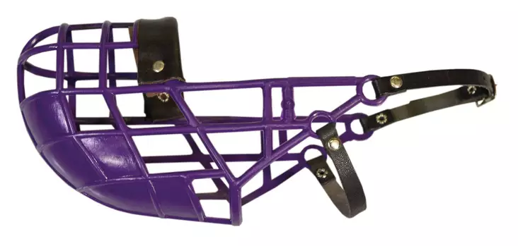 Kennelkoppa Greyhound värimix D&C - Koiran juoksutus, pyöräily, talviurheilu - 042586 - 1