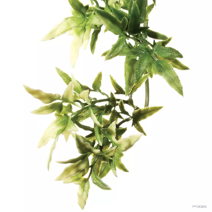 Tekokasvi Jungle Plant Croton ExoTerra - Terraarion tarvikkeet ja kuivikkeet - 044006 - 1