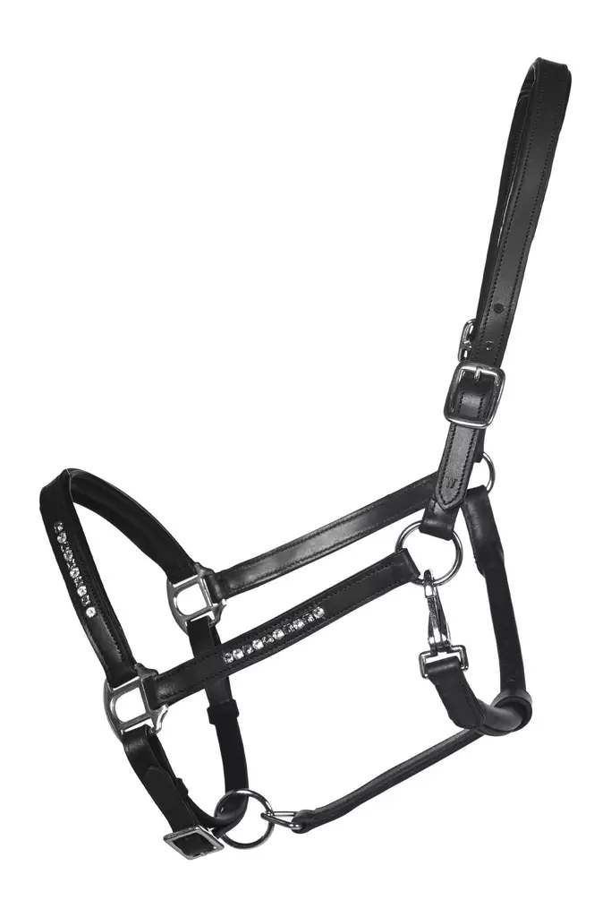 Nahkariimu Sparkle musta HKM-sports - Hevosen nahkariimut ja narut - 056886 - 1