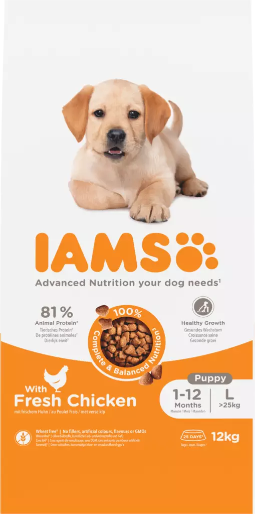 Puppy Large Chicken 12kg Iams Advanced Nutrition dog - Kuivaruoat pennuille ja kasvatukseen - 000536 - 1