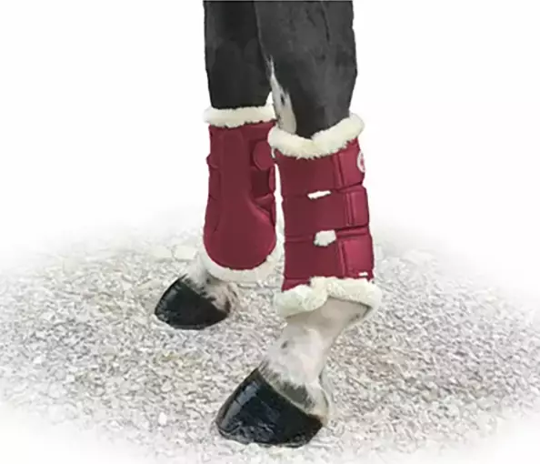 Hivutussuojat Jubilee L teddy ruby Bucas - Hevosen vuohis- ja hivutussuojat - 052306 - 1