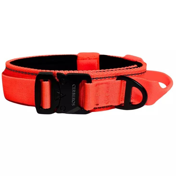 Kahvapanta leveys 3,8cm oranssi Cerberos - Koiran pika- ja pistolukkopannat - 059046 - 1