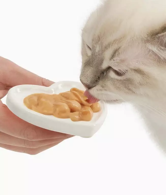 Keraaminen kuppi pidikkeellä valkoinen CatIt - Kissan keramiikkakupit - 048526 - 1