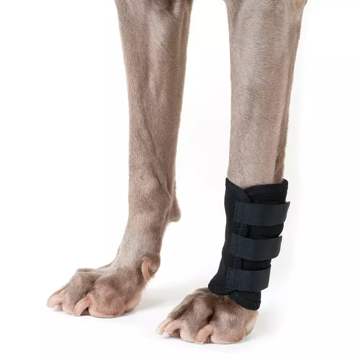 Koiran jalkasuoja KPL musta Back On Track - Koiran terapeuttiset asut - 043616 - 1