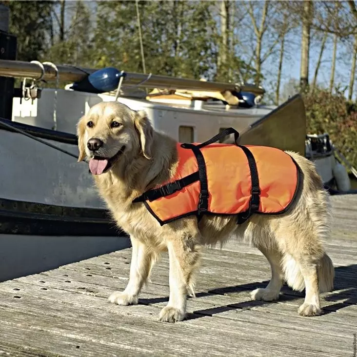 Koirien pelastusliivi oranssi Beeztees - Koiran pelastusliivit ja kelluntapuvut - 009296 - 2