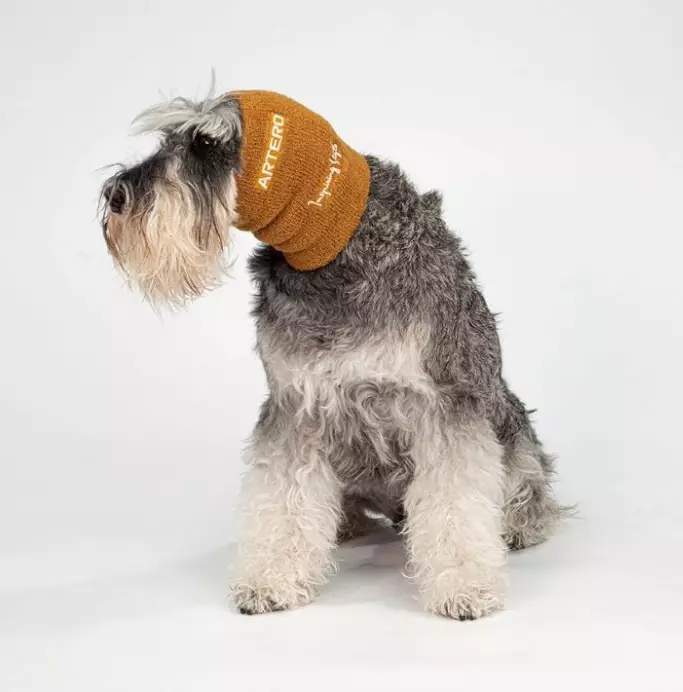 Korvasuojat kuivaukseen Artero - Koiran pyyhkeet ja kuivatusmanttelit - 050466 - 1