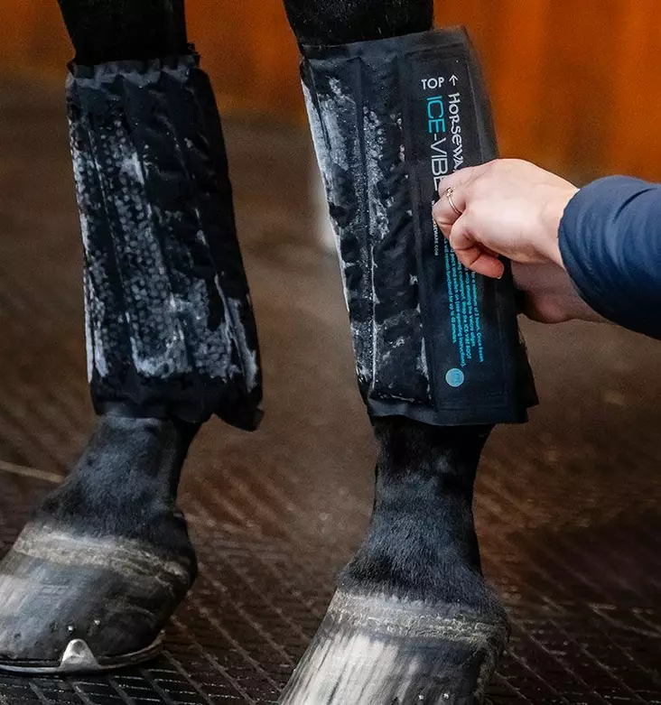 Kylmäyspatjat Ice-Vibe XFULL pari musta Horseware - Terapia ja kylmäys tarvikkeet hevoselle - 056276 - 1