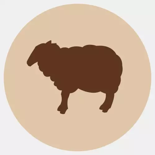 Lampaan sekaluut 2kg pakaste Fanimal - Koiralle pakaste luut - 059616 - 1