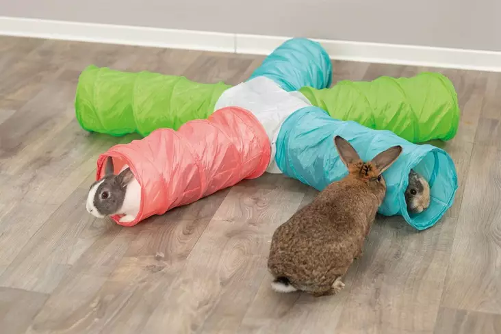 Leikkitunneli 5 haaraa 47cm värit Trixie - Pieneläinten lelut ja puuhasteltavat - 048136 - 1