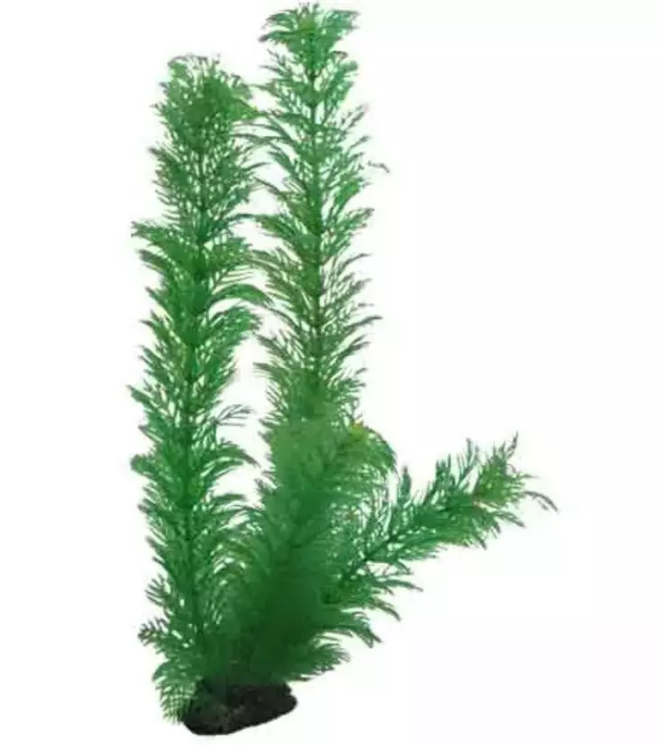 Muovikasvi Egeria 34cm Hobby - Akvaarion tarvikkeet ja hiekat - 059156 - 1