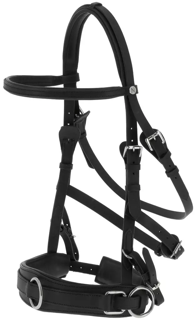Nahkainen kapsoni leveällä turpahihnalla FULL musta Norton - Hevosen juoksutus ja maastakoulutus - 050986 - 1