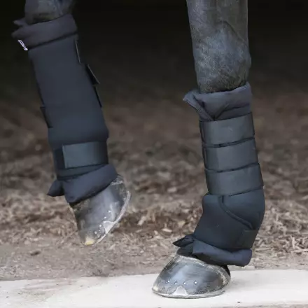 Talli-/Kuljetussuojat musta pari Hansbo Sport - Hevosen kuljetus ja matkustaminen - 001876 - 1