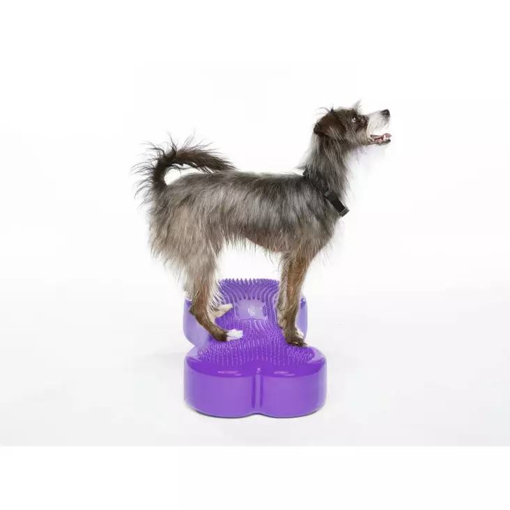 Tasapainotyyny K9FITbone 58x29x10cm FitPaws - Koiran aktivointilelut - 060146 - 1