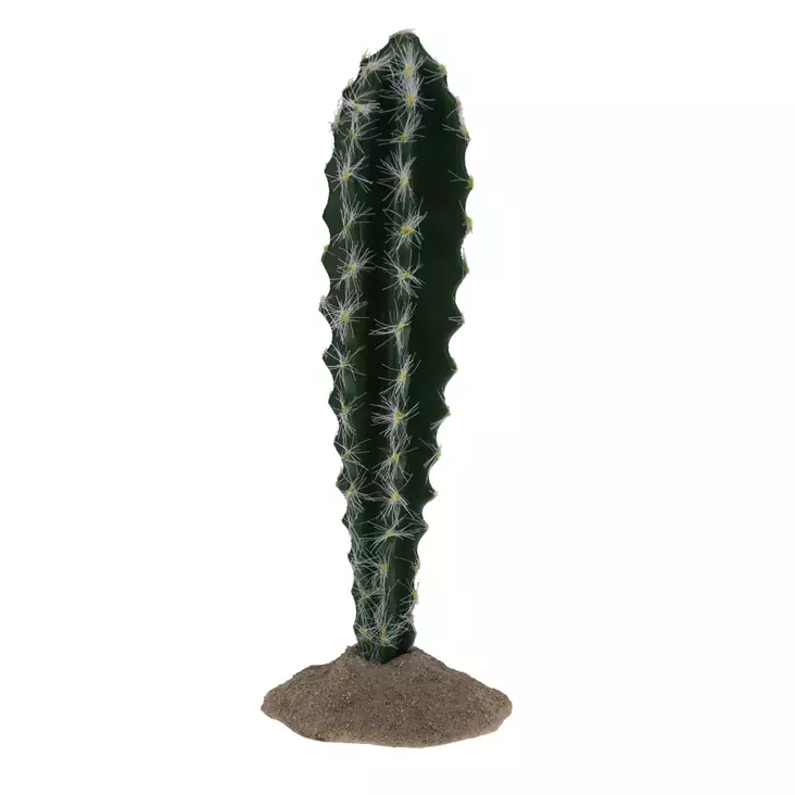 Tekokaktus Columnar 1 pylväskaktus Terra Della - Terraarion tarvikkeet ja kuivikkeet - 059436 - 1