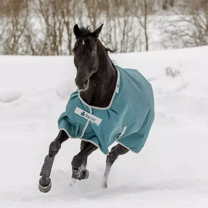 Toppaloimi Atlantic Turnout 200g Dermo Care vuorella vihreä Bucas - Hevosen toppaloimet ulkoiluun - 053756 - 1