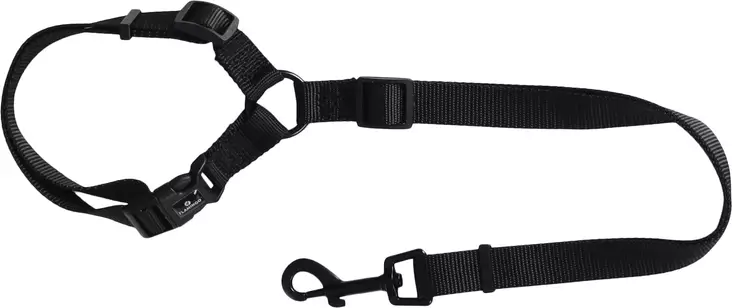 Turvavyö niskatukikiinnityksellä Luigi mustaFlamingo - Koiran turvavaljaat ja liittimet - 056956 - 1