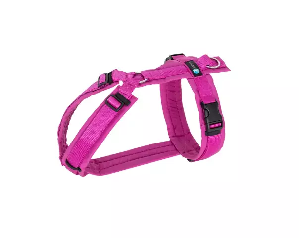 Y-valjas Fun fuksia - echinacea AnnyX - Koiran Y-valjaat - 052426 - 1