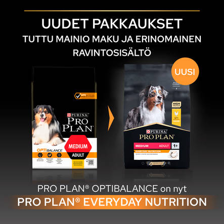 Adult Everyday Nutrition Adult 2+ Large Robust 14kg Pro Plan - Koiran kuivaruoat aikuisille koirille - 004367 - 3