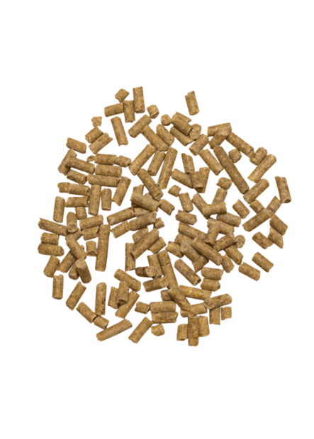 Amino Muskel Plus Marstall - Lisäravinteet energialisät ja kilpailut - 034097 - 2