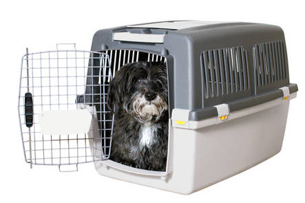 Kuljetusboxi Gulliver 4 71x51x50cm IATA Trixie - Koiran muoviboxit - 008647 - 2