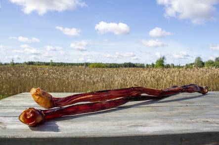 Sonninsuti kokonainen Kotimainen Hau-Nau - Koiran herkut ja makupalat - 015857 - 2