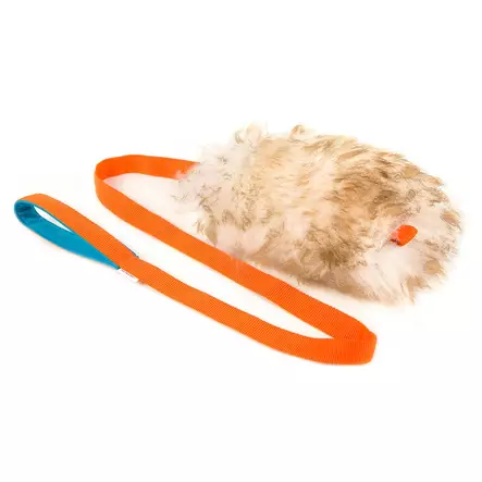 Zayma lampaankarvalelu saalisliinalla D&C - Motivointipatukat, -pallot, purutyynyt - 038537 - 2