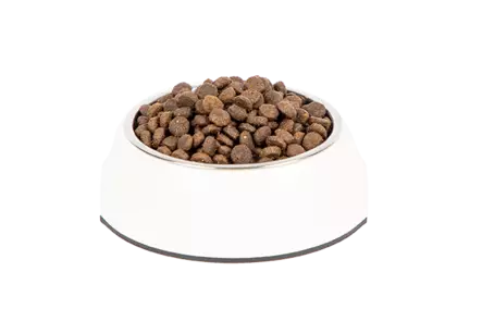 Indoor & Sterilized Adult Chicken PrimaCat - Kissan kuivaruoat pennut ja kasvatus - 056337 - 2